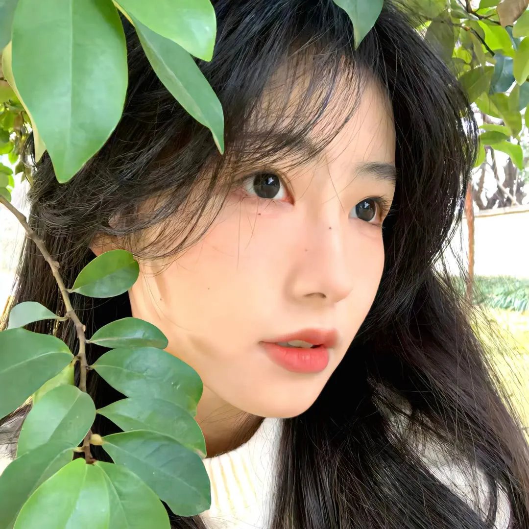 女才男貌 在线观看